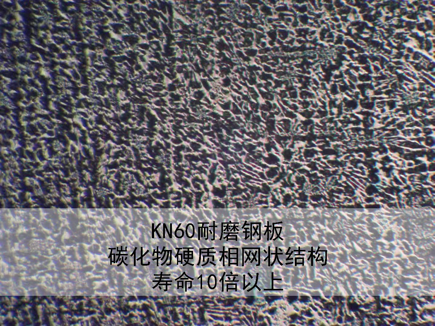  tĥͺ䓰KN60đ